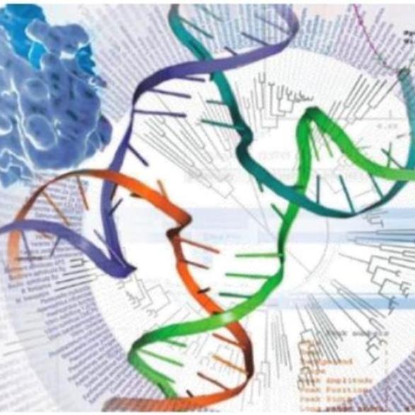 Bioinformatics 17-18